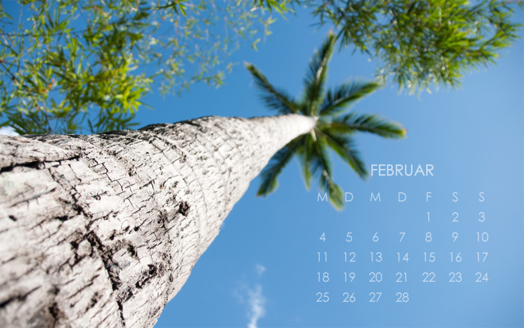 2013 Desktop Kalender Februar